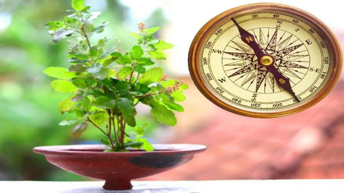 Vastu Tips For Tulsi Vastu Tips For Tulsi