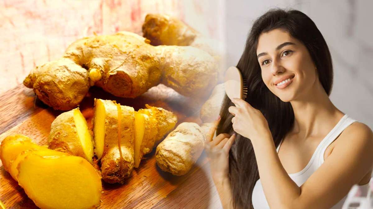 আদার রস লাগান মাথায়, সারা বছর মুক্ত থাকবেন খুশকি থেকে! How to use ginger to treat dandruff in