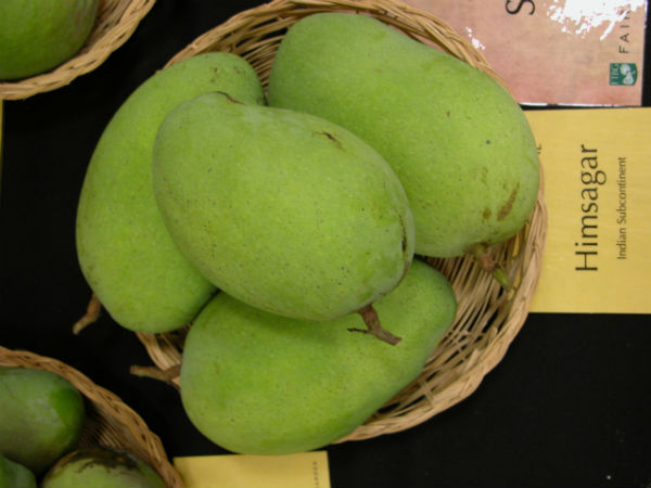 হিমসাগর