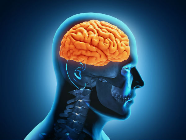 মস্তিস্কের ক্ষমতা কমিয়ে দেয়