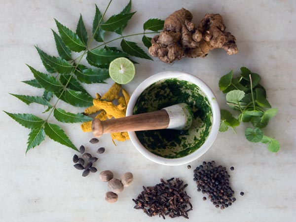 নিমপাতা