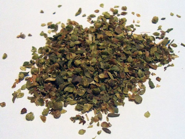 অরেগানো