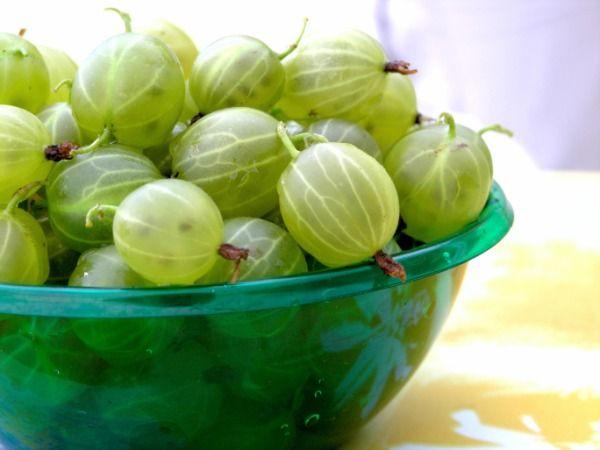 আমলকি