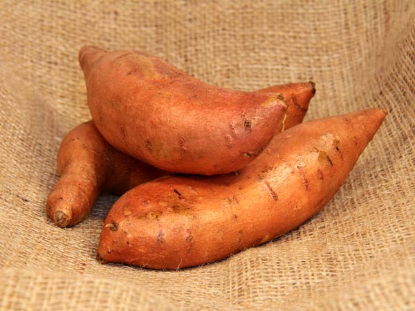 সাধারণ স্বাস্থ্য