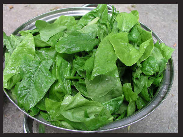 সবুজ শাকসবজি: