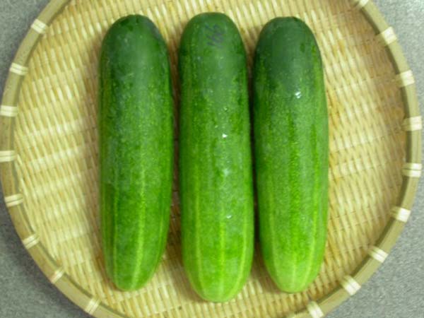 ৬. দই এবং শসা: