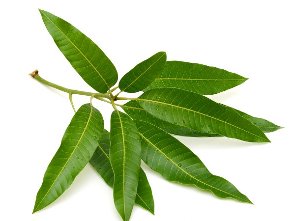 উপকরণ: