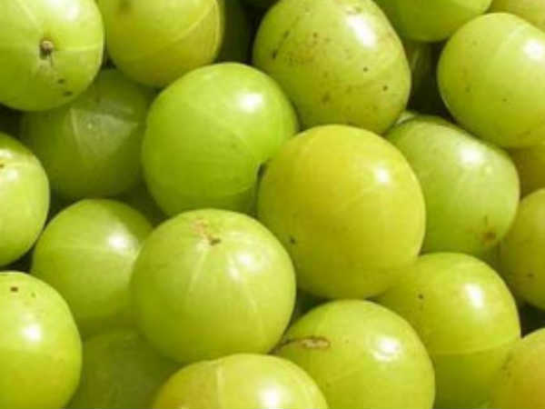 ২. আমলকি: