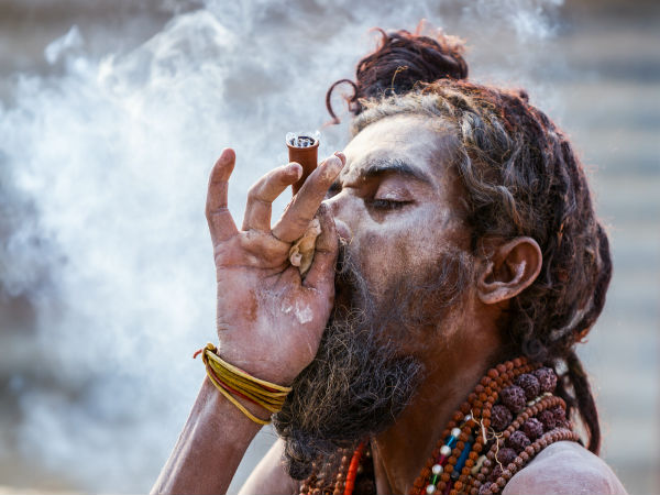 এদের কি কোথাও দেখা পাওয়া যায় না?
