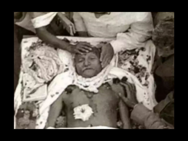 ছবি ৭: