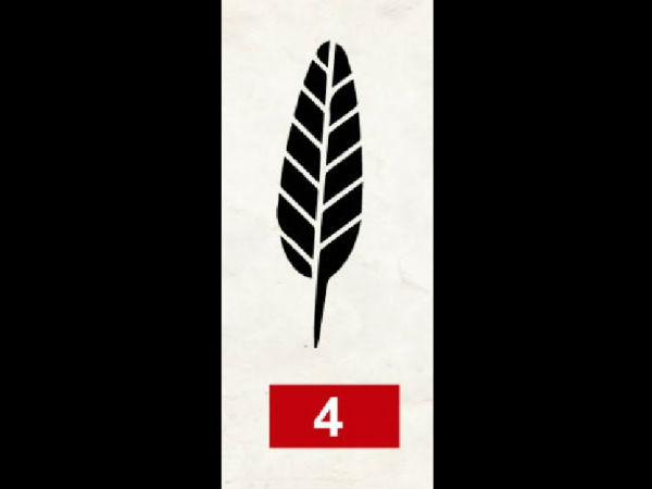 পালক ৪: