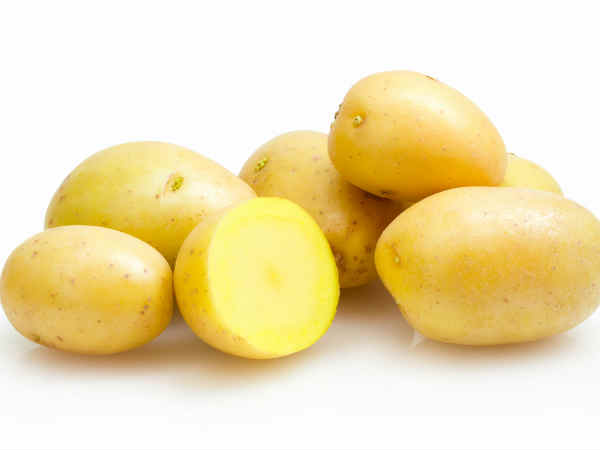 ফাইবারের আঁতুড় ঘর: