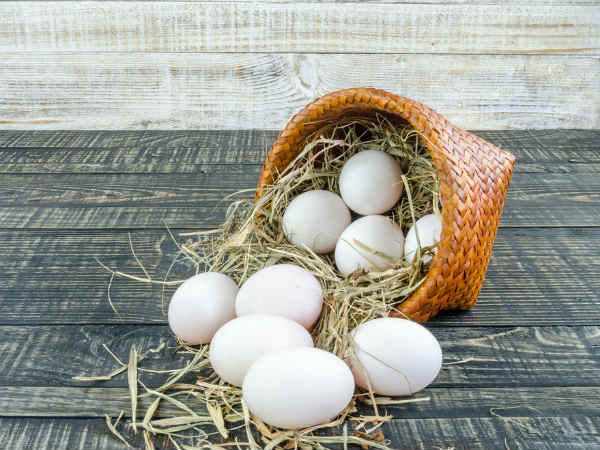 হজম ক্ষমতার উন্নতি ঘটে: