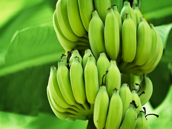 ৩. পুষ্টির ঘাটতি দূর করে: