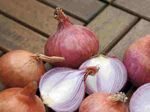 ৬.ক্য়ান্সার প্রতিরোধক: