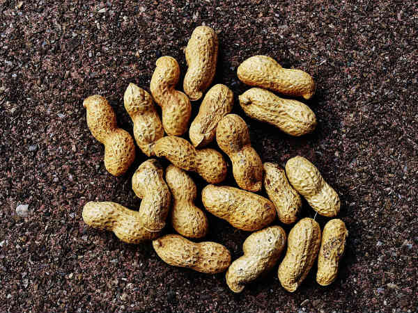 ১১. গল স্টোনে আক্রান্ত হওয়ার আশঙ্কা কমায়: