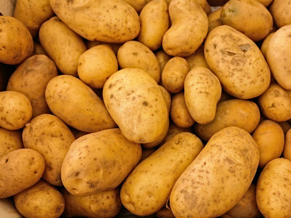 ১. শরীরের গঠনে সাহায্য করে: