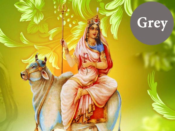 ৫.পঞ্চম দিন (ধূসর)