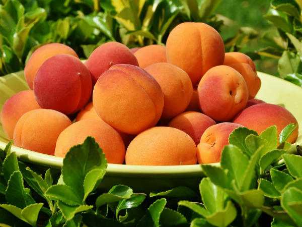 ৩.এপ্রিকট: