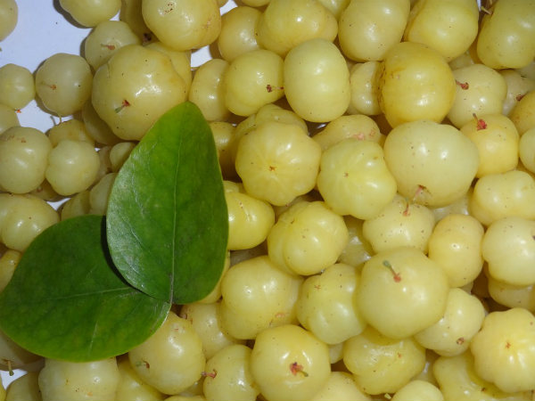 ৬. পুষ্টিকর উপাদানের ঘাটতি দূর করে: