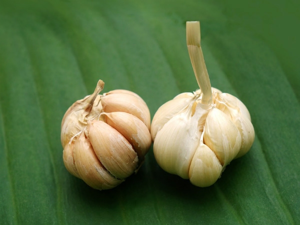 ৪. রসুন:
