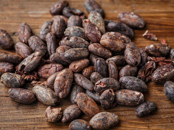 ৫. রক্তচাপ এবং ব্লাড সুগারকে নিয়ন্ত্রণে রাখে: