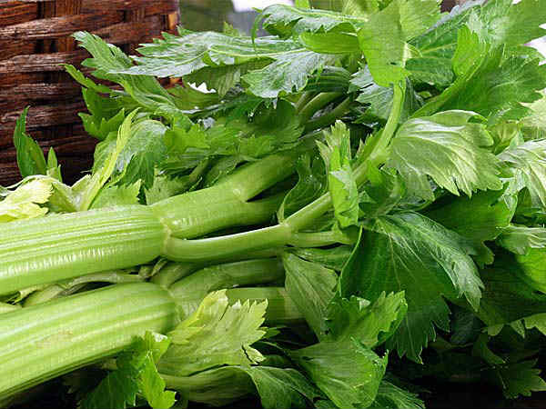 ৩. সেলারি শাক: