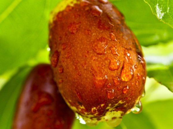 ১০. অ্যালার্জির প্রকোপ কমায়: