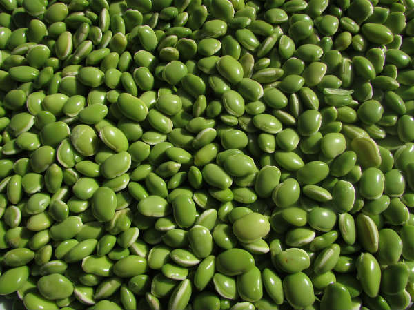 ১. বিনস: