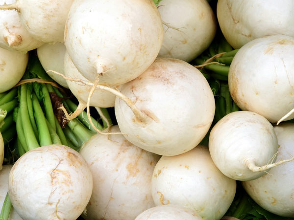 ৯. মূলা: