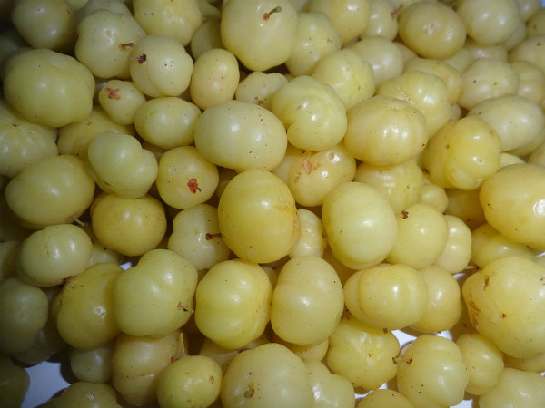 ৪. সংক্রমণের আশঙ্কা কমে: