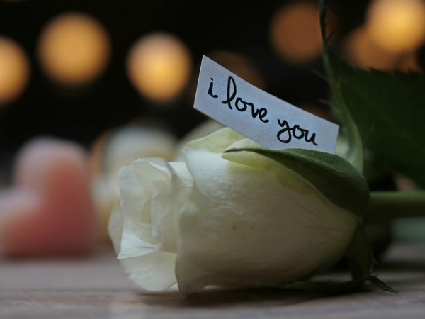 ৫. দা চিটার: