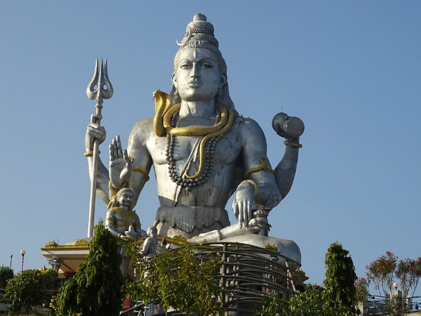 ৮. বেল ফল: