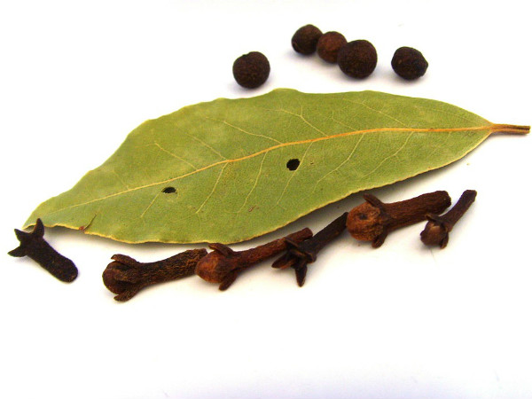 ৮. লিভারের কর্মক্ষমতা বাড়ায়: