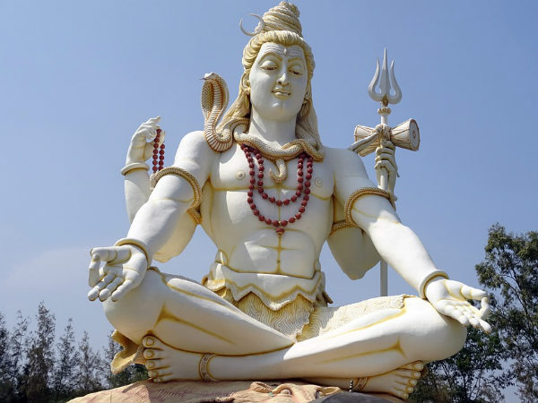 ১.কোথায় রাখবেন শিবের ছবি: