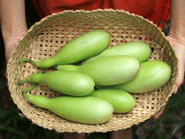 ১. শরীর ঠান্ডা করে: