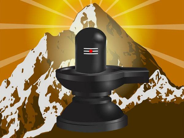 ১০. মকররাশি: