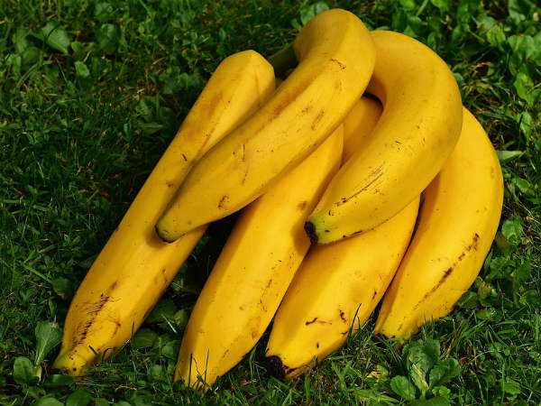১৪. কলা: