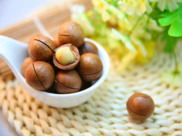 ২. কোষেদের দেখভাল করে: