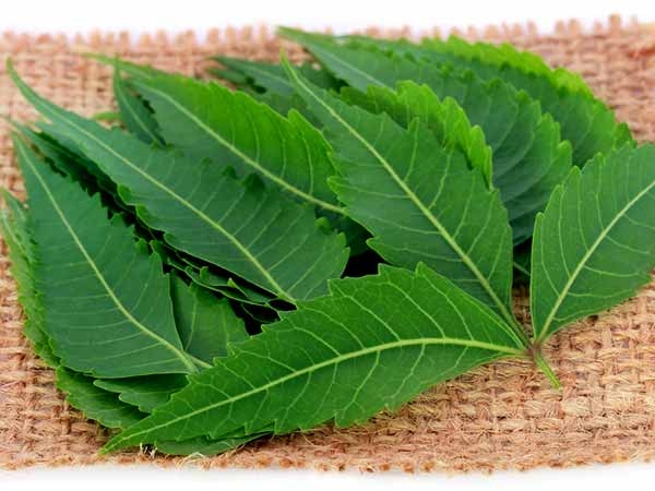 ৩. রক্তে শর্করার মাত্রা নিয়ন্ত্রণে থাকে: