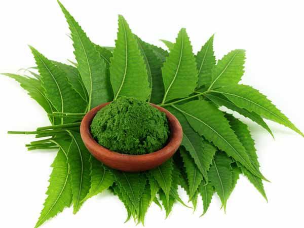 ৬. নিম গাছ: