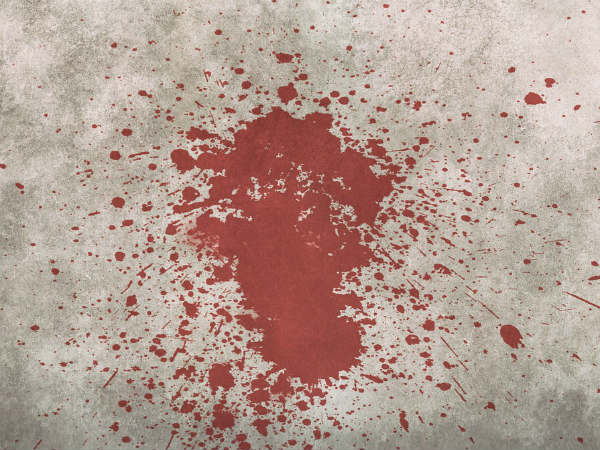 ৬. রক্তের স্বপ্ন: