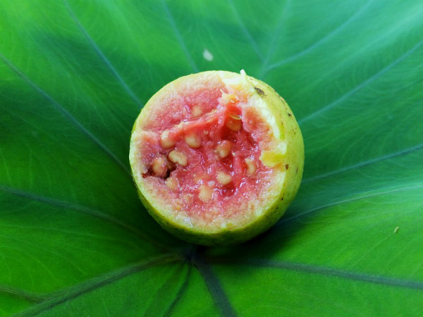 ৭. ব্ল্যাকহেডস দূর হয়: