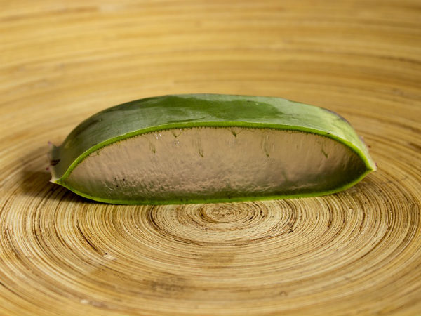 ১. অ্যালো ভেরা: