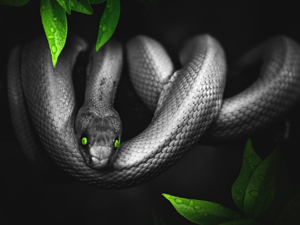 ৩. মনের ইচ্ছা পূরণের সময় এসে গেছে:
