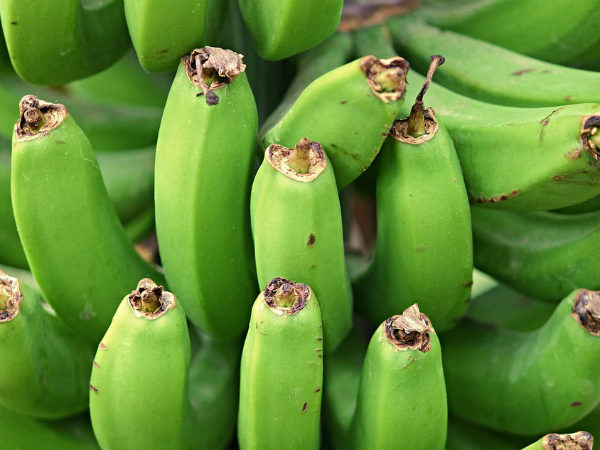 ৩. পেটকে ঠান্ডা রাখে: