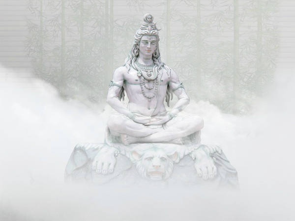 ৪. অশোক পাতা: