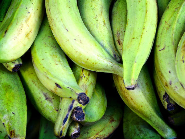 ৮. পুষ্টির ঘাটতি দূর হয়: