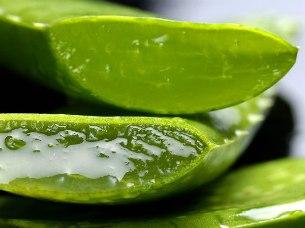১. অ্যালো ভেরা জেল: