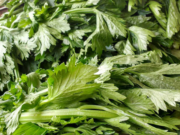 ১৩. সেলারি শাক:
